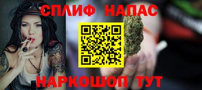 дмт Славгород