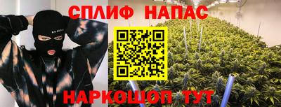 дмт Славгород