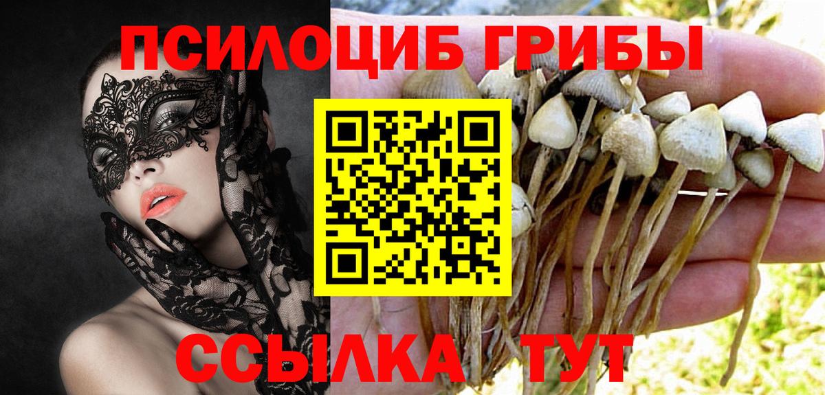 Галлюциногенные грибы Magic Shrooms Новочеркасск