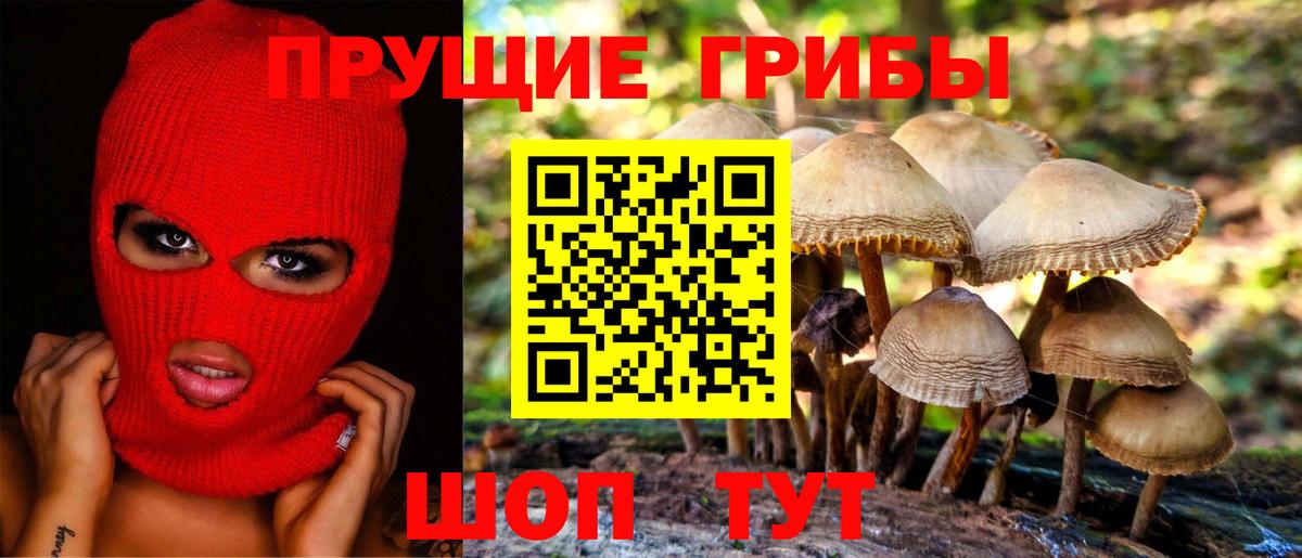 Новочеркасск  Галлюциногенные грибы прущие грибы  Вход с VPN 